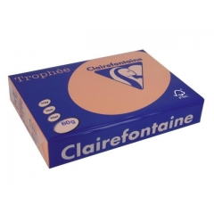 Копирна хартия Trophee праскова A4 80 гр. 100 л, 1970
