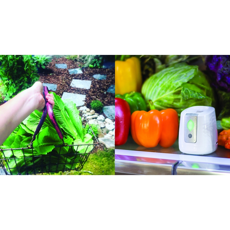 Пречиствател за хладилник Pure Air Fridge | Устройства | Пречистватели за въздух